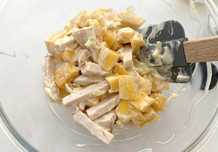 Chicken mango salad 07