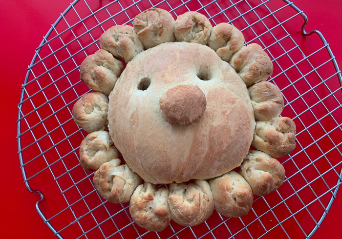 Een zonnebrood 24