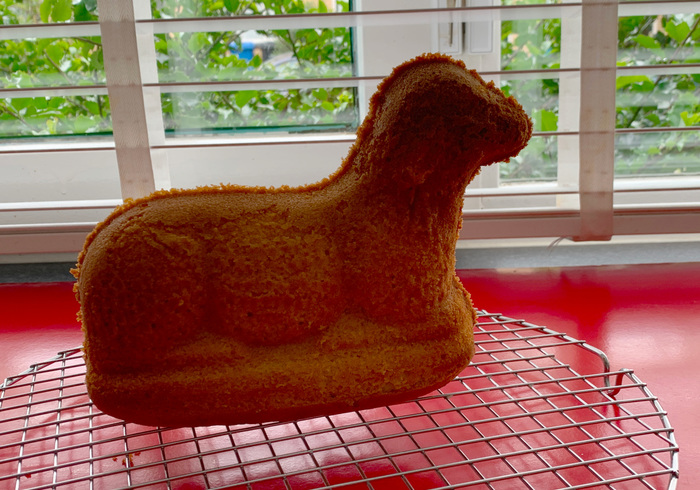 Lammetje van cake 15