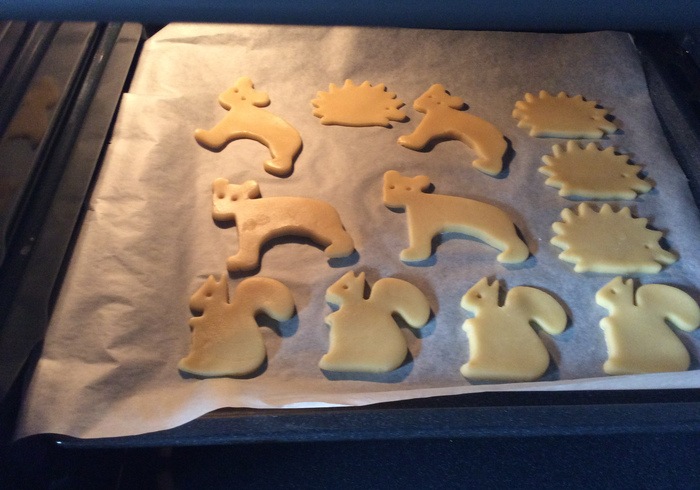 Winterkoekjes dieren 13