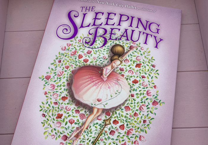 The sleeping beauty home