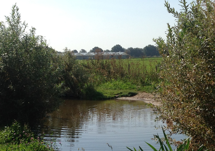 Boerderij schieveen 04