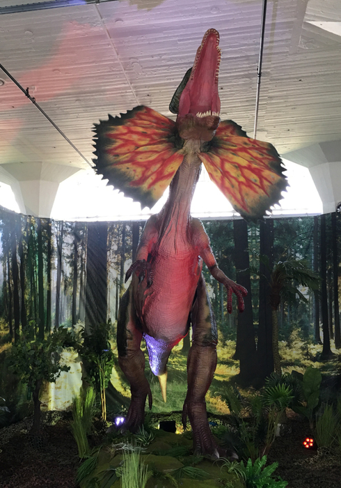 World of dinos 06
