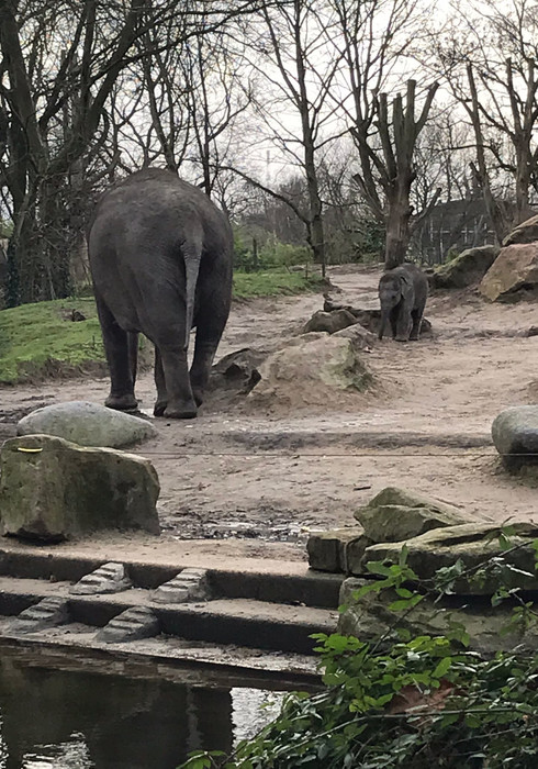 Blijdorp zoo 01