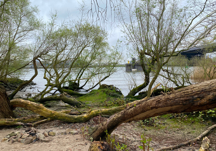 Eiland van brienenoord 02