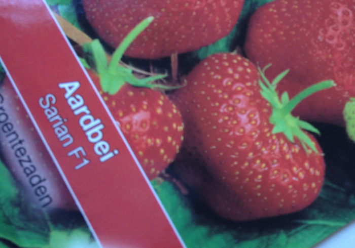 Aardbeien side