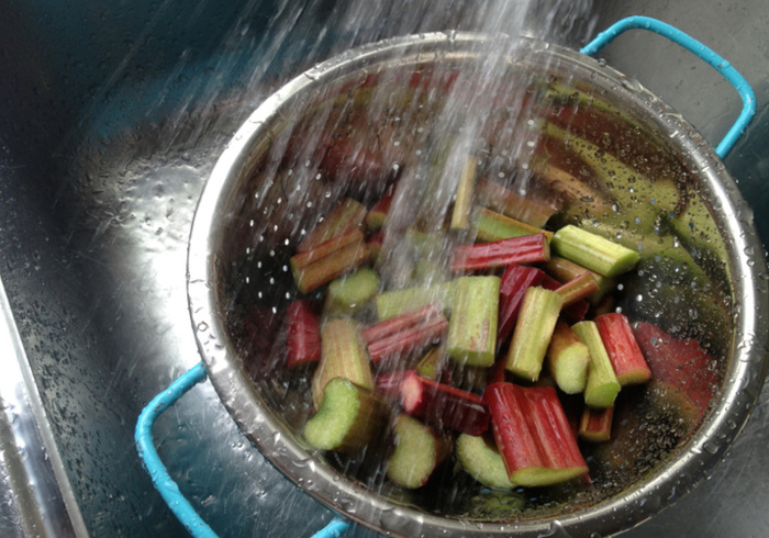 Rubarb pannacotta 02