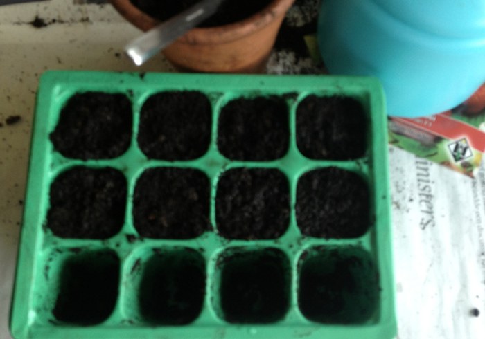 Aardbeien 04