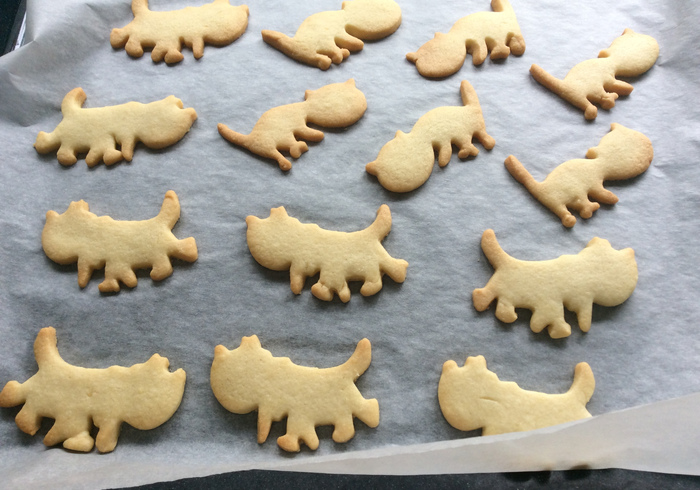 Fiep koekjes 03
