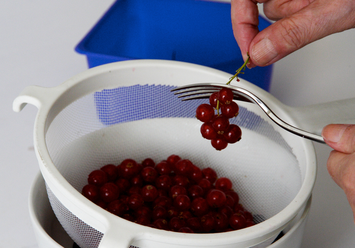Forest fruit jam 01