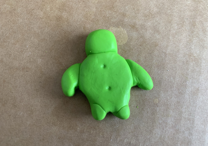Zeeschildpadjes 21