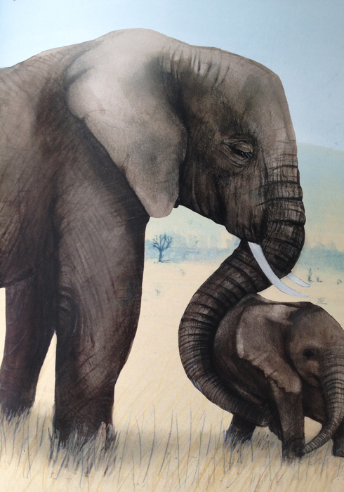 De olifant 04