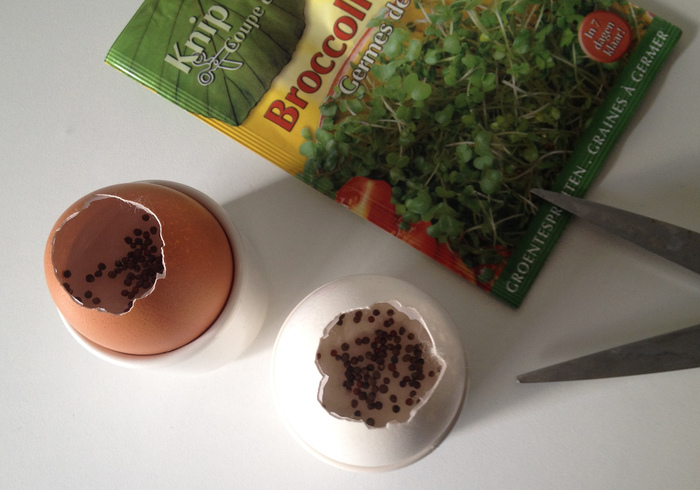 Cress eggs 07