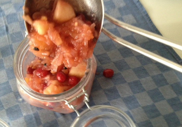 Apple cranberry chutney 14