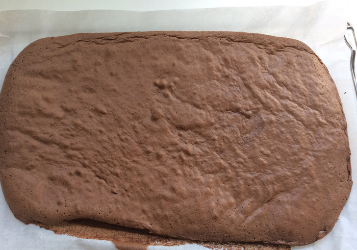 Chocolade roulade 14