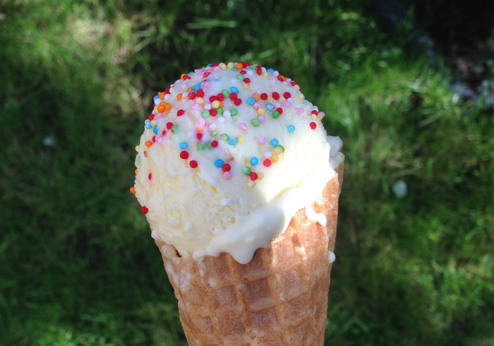 Roomijs ice cream home