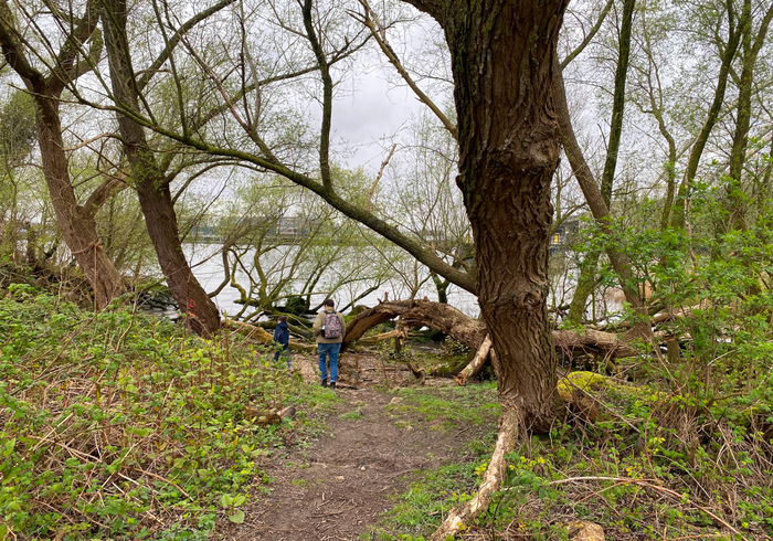 Eiland van brienenoord 03