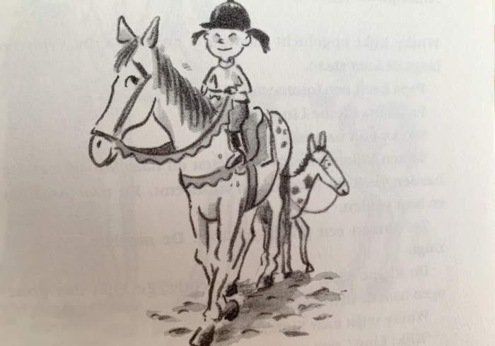 Waar is het paard van sinterklaas  03