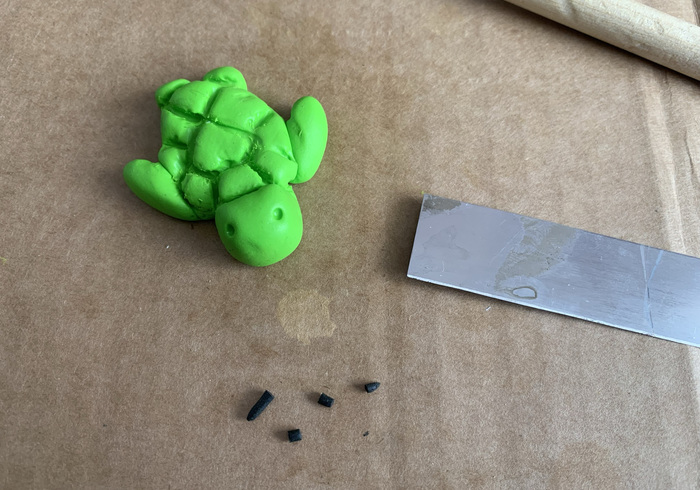Zeeschildpadjes 23