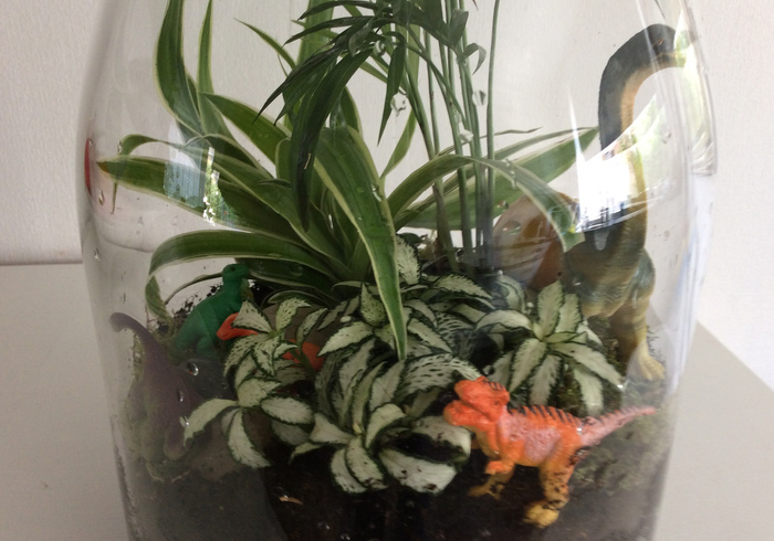 Dinosaur terrarium home