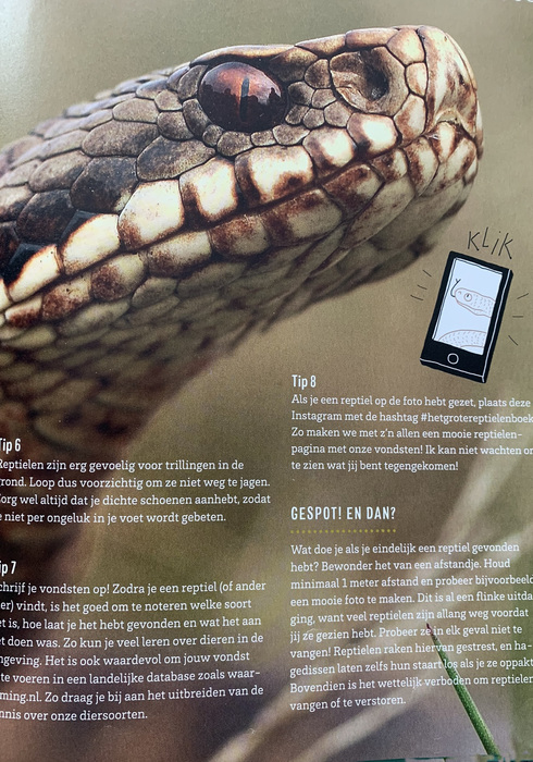 Het grote reptielenboek 02