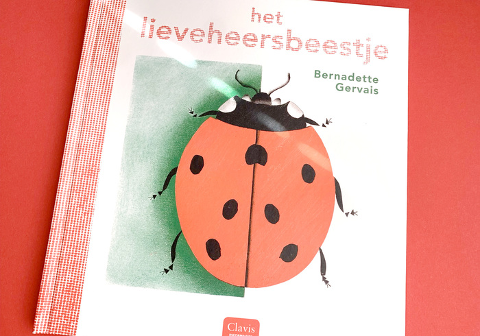 Het lieveheersbeestje home