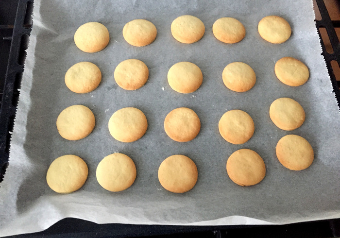 Winter biscuits 15