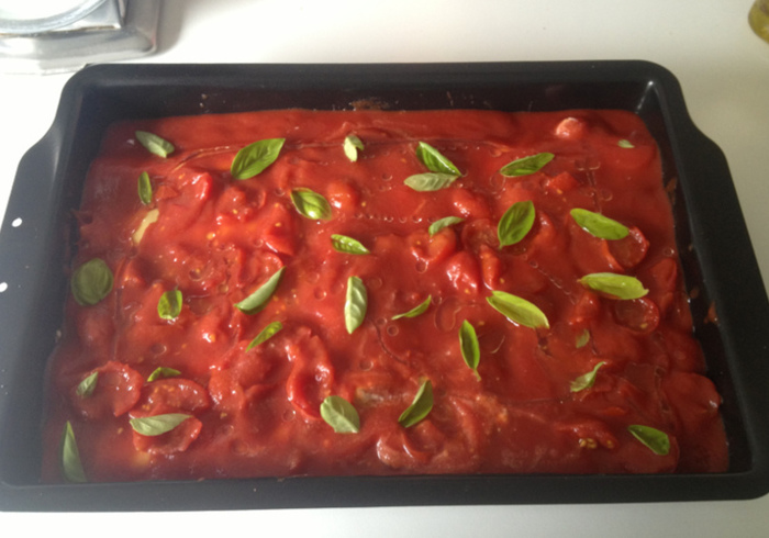 Canneloni 14
