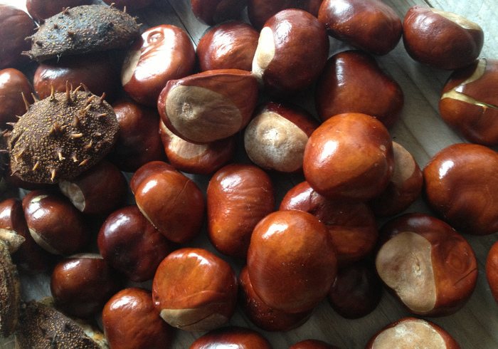 Herfst materiaal 08