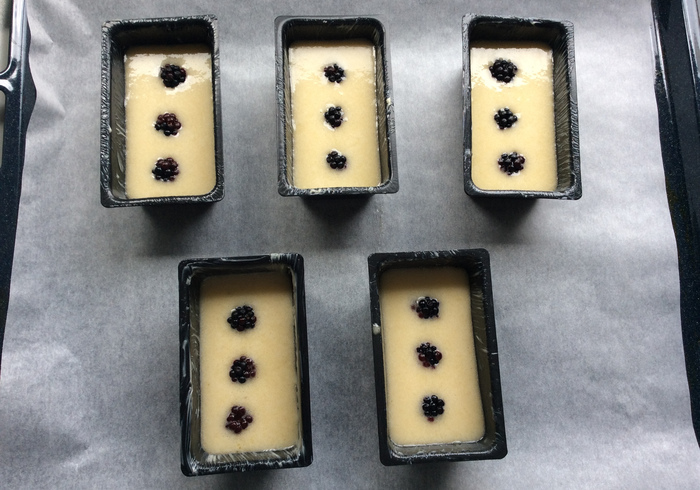 Blackberry financiers 11