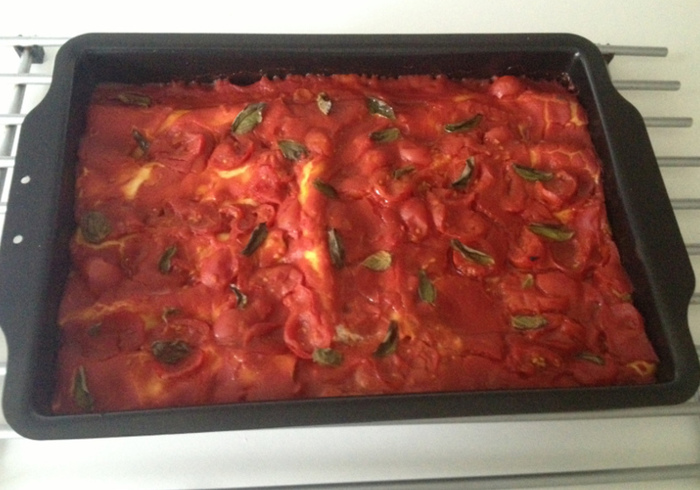 Canneloni 16