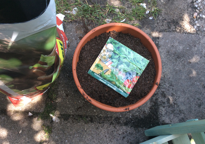 Moestuin 05