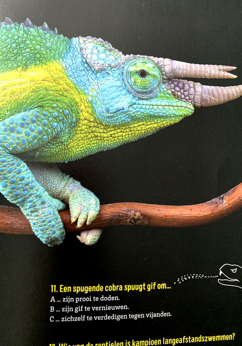 Het grote reptielenboek 03