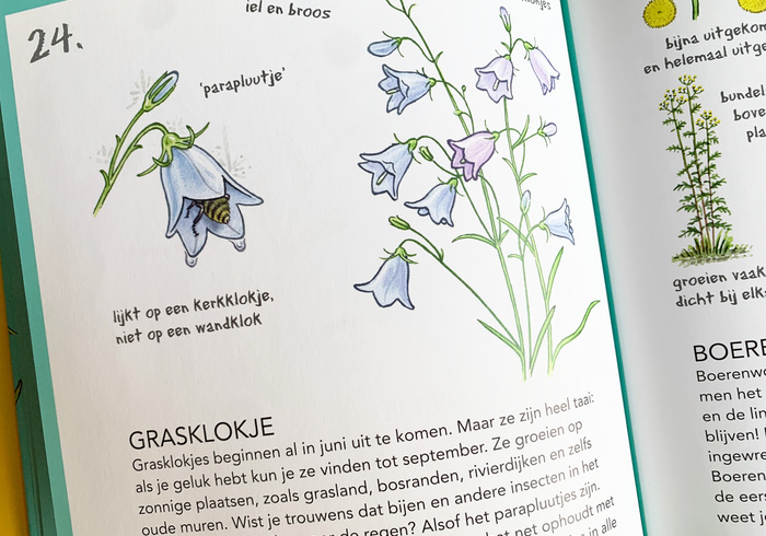 Ik ken al 25 bloemen 03