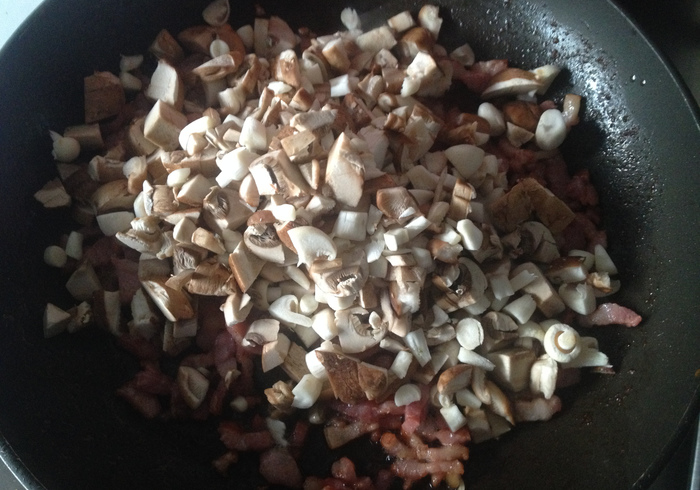 Parmesan mushroom risotto 13