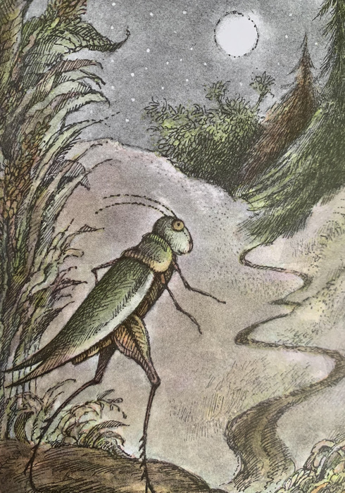 Grasshopper on the road 04