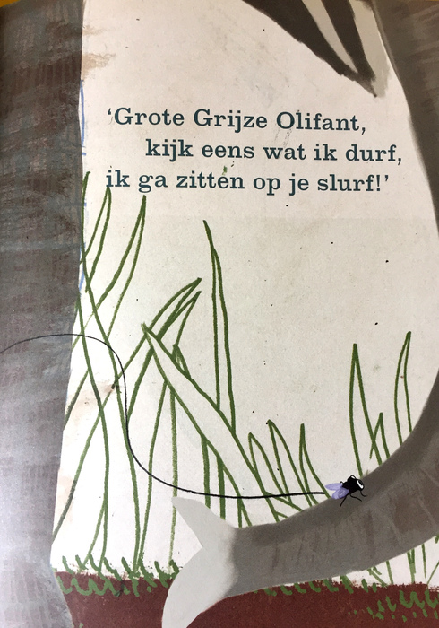 Vliegensvlugge vlieg 02
