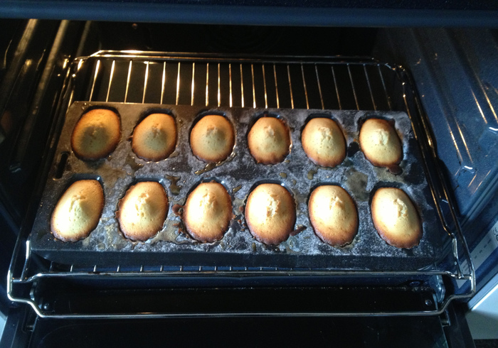 Madeleines 13