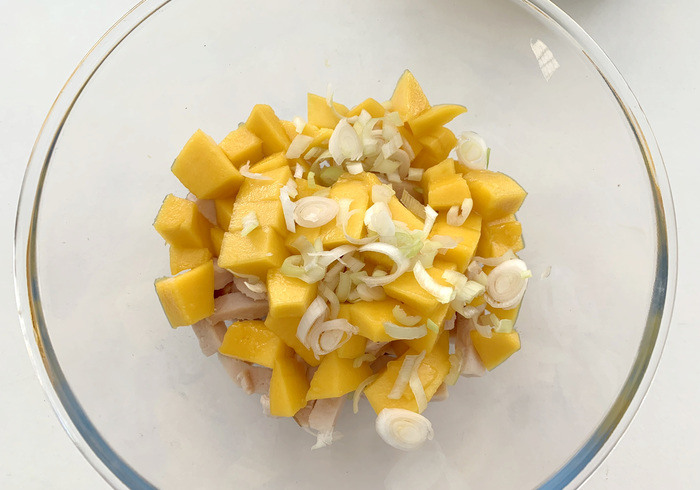 Chicken mango salad 05