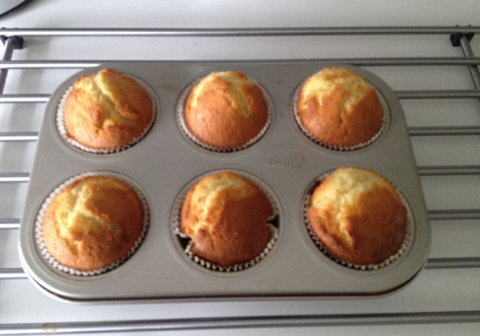 Muffins with blueberry 09