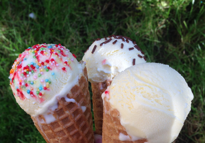Roomijs ice cream sidepicll