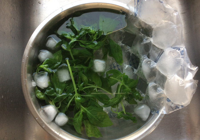 Basilicum pesto 04