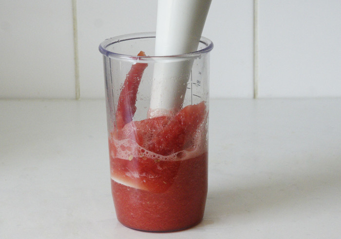 Watermeloen sorbet 03