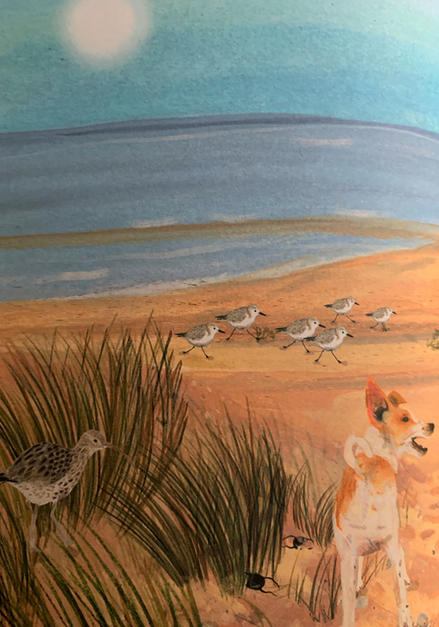 Wildzoekers op het strand 01