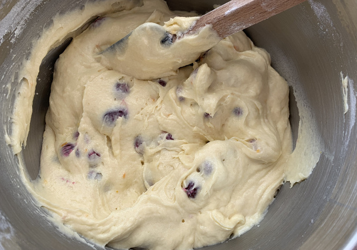 Cranberry mandarijn cake 15