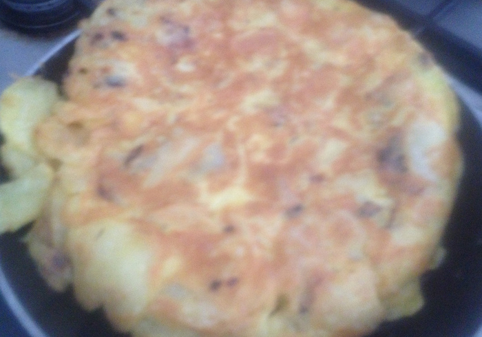 Tortilla 17