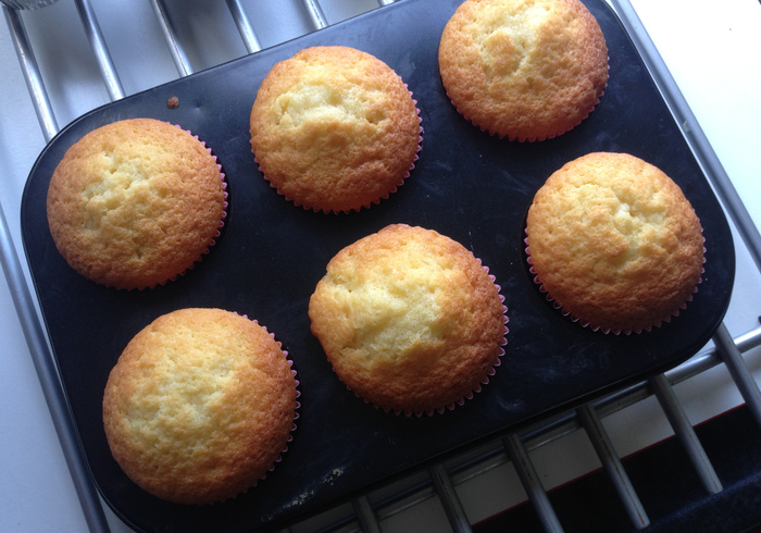 Fairy cakes 12