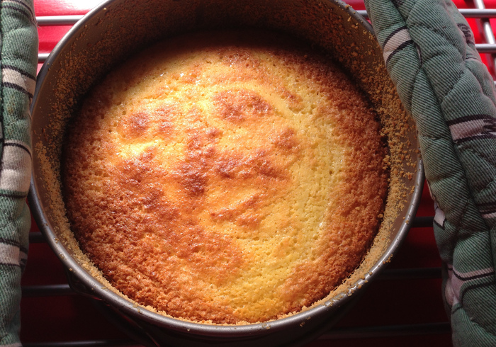 Ricotta cake 11