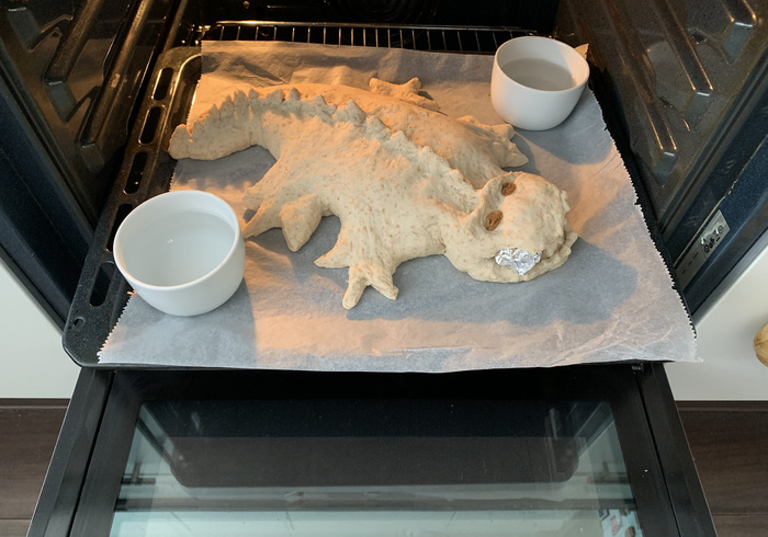 Drakenbrood 17