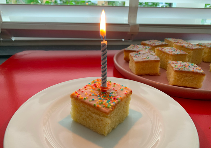Sprinkle sponge cake sidepic